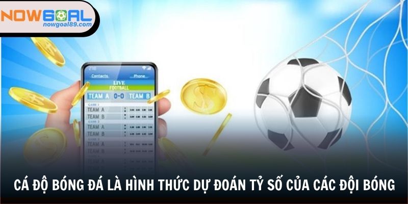 Cá độ bóng đá là hình thức dự đoán tỷ số của các đội bóng