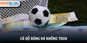 cá độ bóng đá không thua