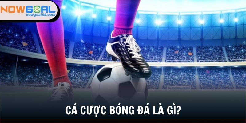 Khám Phá Bí Quyết Cá Độ Bóng Đá Không Thua Của Cao Thủ 2025 1 Đôi nét về cá cược thể thao vua