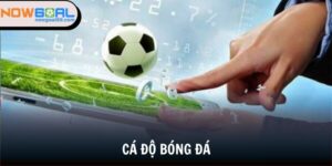 Cá độ bóng đá