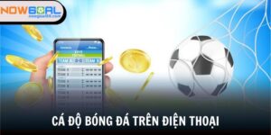 cá độ bóng đá trên điện thoại