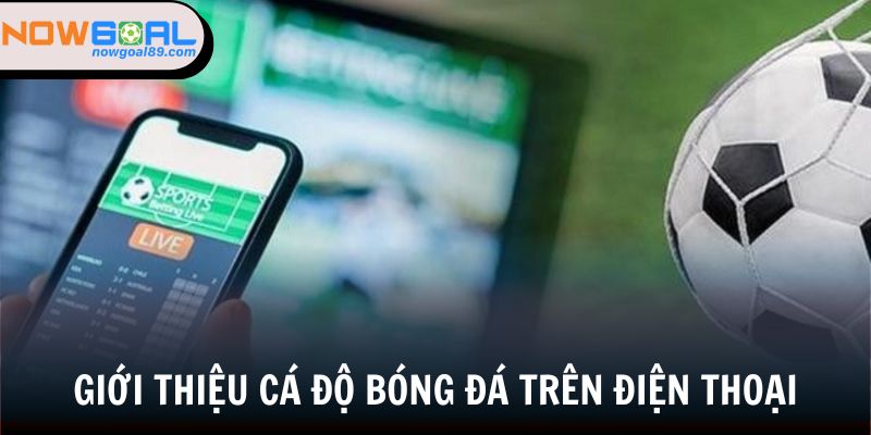 Cá Độ Bóng Đá Trên Điện Thoại - Kinh Nghiệm Thắng Lớn Tại Nowgoal 1 Giới thiệu cá độ bóng đá trên điện thoại