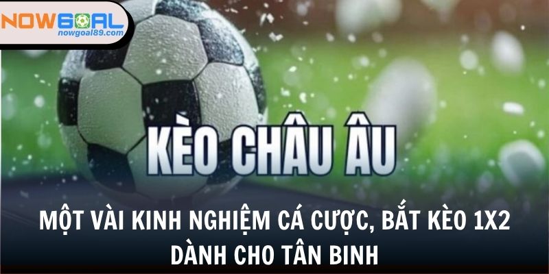 Một vài kinh nghiệm cá cược, bắt kèo 1x2 dành cho tân binh