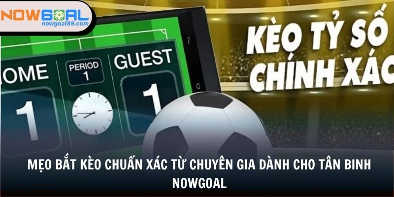 Mẹo bắt kèo chuẩn xác từ chuyên gia dành cho tân binh nowgoal