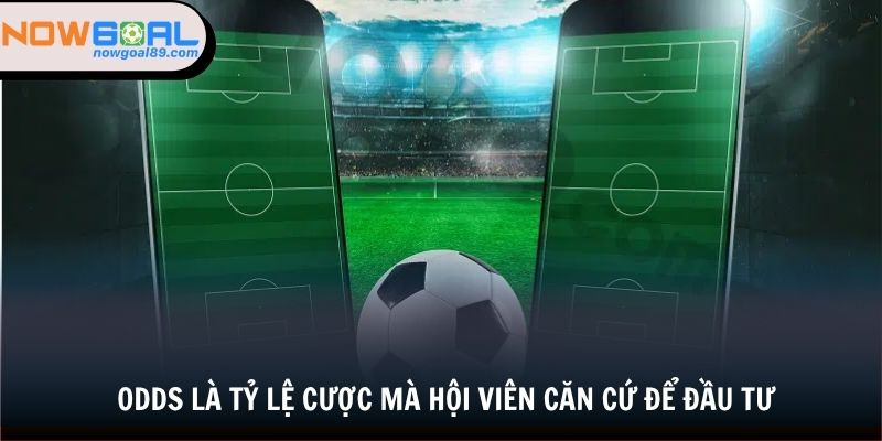 Odds là tỷ lệ cược mà hội viên căn cứ để đầu tư