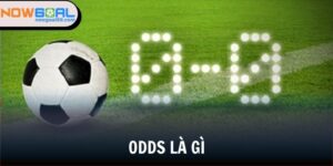 odds là gì