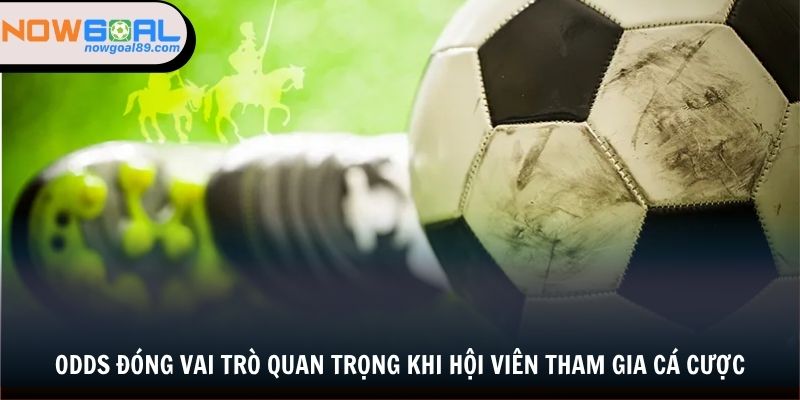 Odds đóng vai trò quan trọng khi hội viên tham gia cá cược