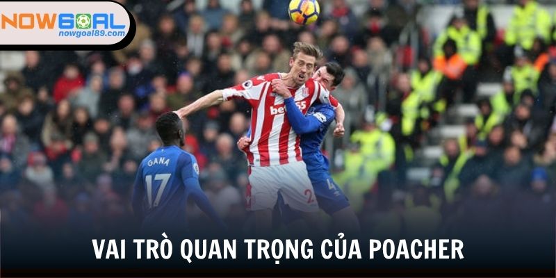 Tầm quan trọng của các Kẻ săn mồi trong bóng đá