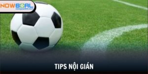 tips nội gián