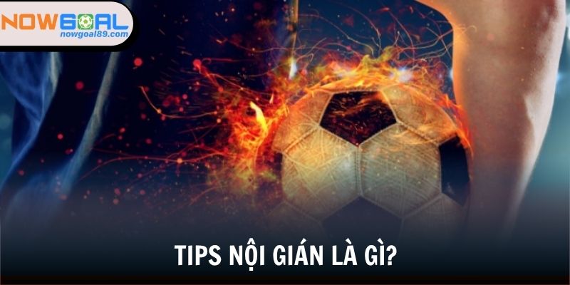 Tips Nội Gián - Khám Phá Những Bí Ẩn Soi Kèo Chuẩn 2025 1 Đôi nét giới thiệu về Tips nội gián