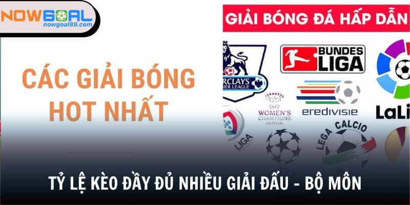 Bất kỳ trận đấu nào cũng được cung cấp tỷ lệ kèo đi kèm tại website