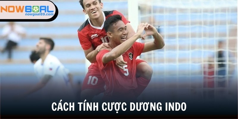 Tỷ Lệ Kèo Indo - Hình Thức Mà Bạn Nên Biết Trong Năm 2025 2 Cách đọc và tính tiền kèo cược dương Indonesia