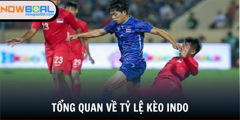 Tỷ Lệ Kèo Indo - Hình Thức Mà Bạn Nên Biết Trong Năm 2025 1 Giới thiệu về tỷ lệ kèo Indo