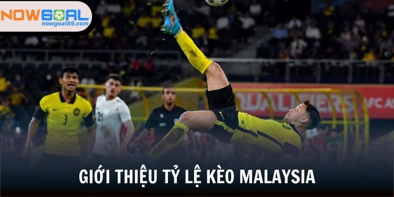 Tỷ Lệ Kèo Malaysia - Cơ Hội Kiếm Tiền Hot Nhất Năm 2025 1 Đôi nét về tỷ lệ kèo Malaysia